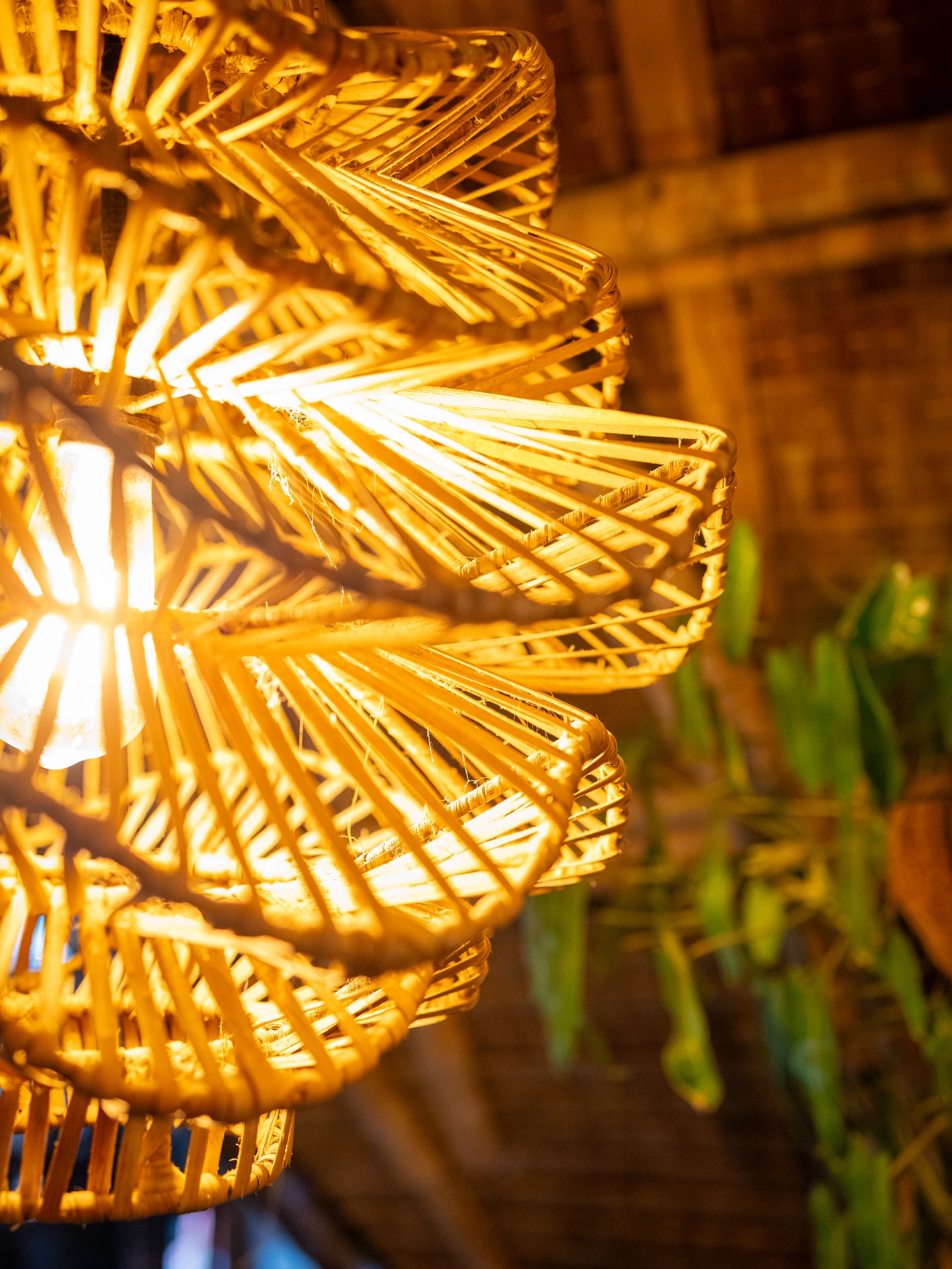 Warm glowing rattan lamp inside Tales of the Islands