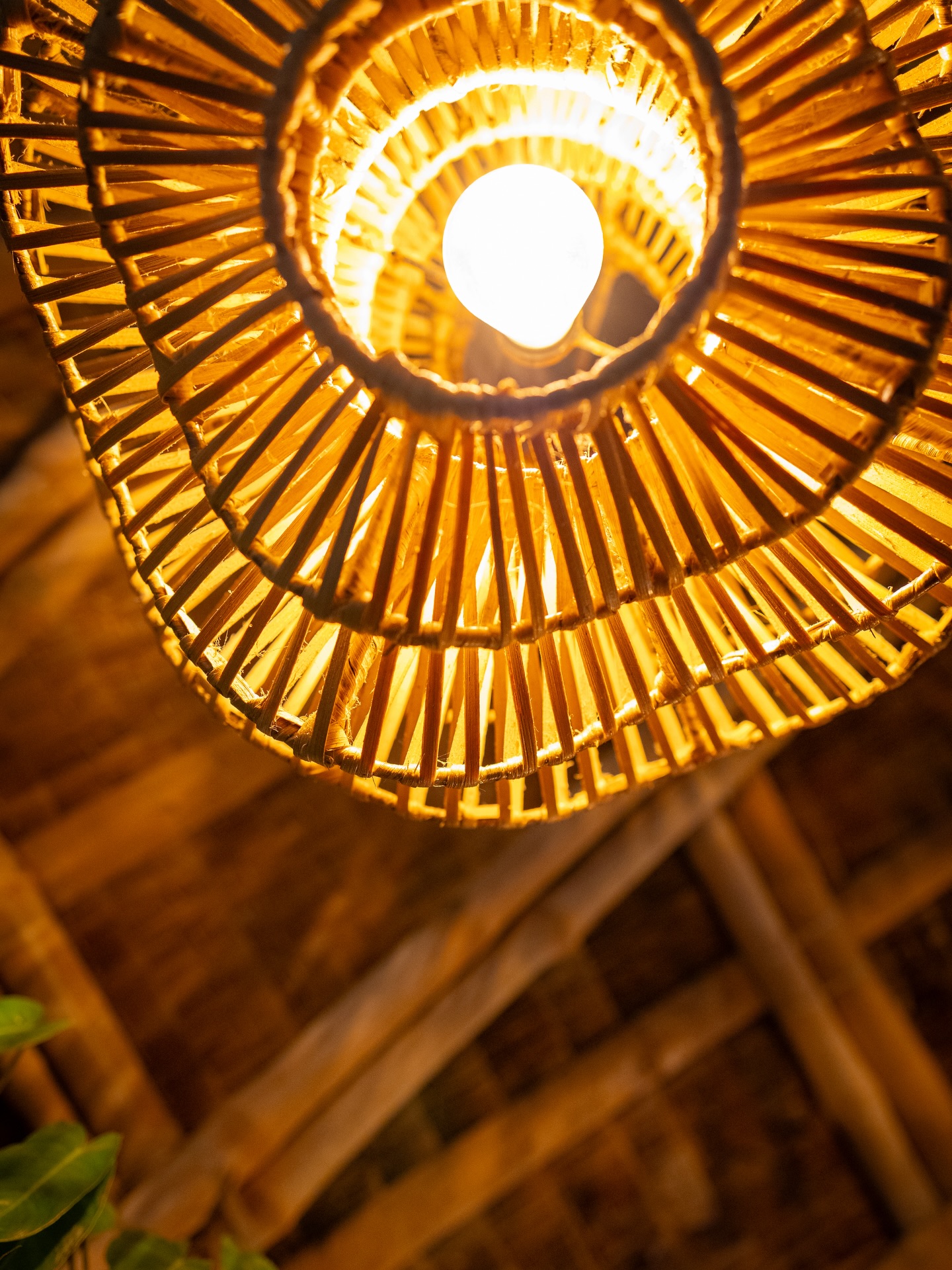 Golden glowing rattan pendant lamp inside Tales of the Islands